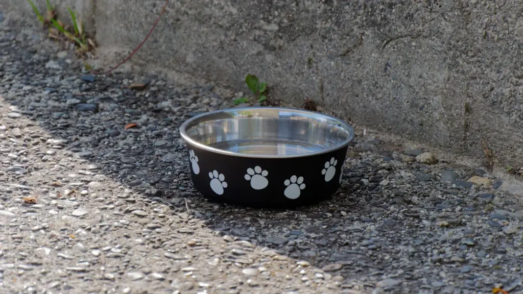 Une gamelle noire avec des motifs de pattes posée sur le sol.