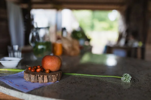 À Orléans, un potager réunit légumes et ateliers nature