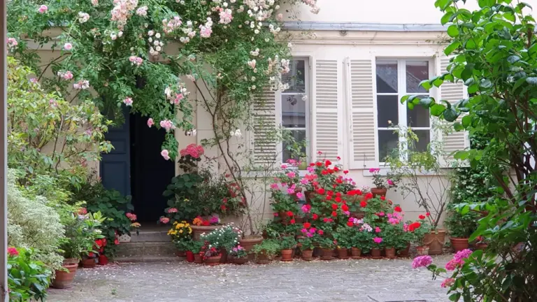Façade de maison française fleurie avec rosiers grimpants et volets en bois.