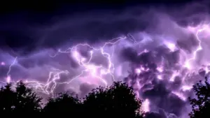 Violents éclairs frappant le ciel au-dessus de la silhouette d'arbres sombres.
