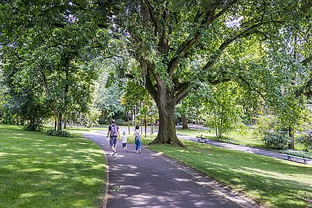 À Angers, deux grands parcs attendent l’avis des habitants: ce qu'il faut retenir