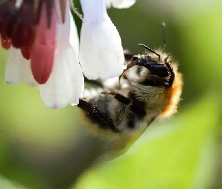 À Brest, les habitants ont tranché entre 42 photos nature