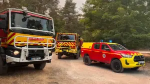 Deux camions rouges de la Sécurité Civile et un pick-up stationnés sur un chemin forestier.