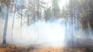 À Montpellier, les gestes anti-feu à connaître cet été