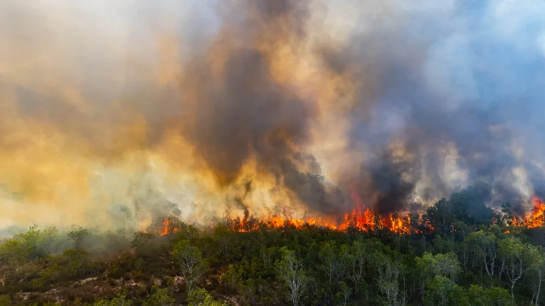 À Montpellier, les gestes anti-feu à connaître cet été