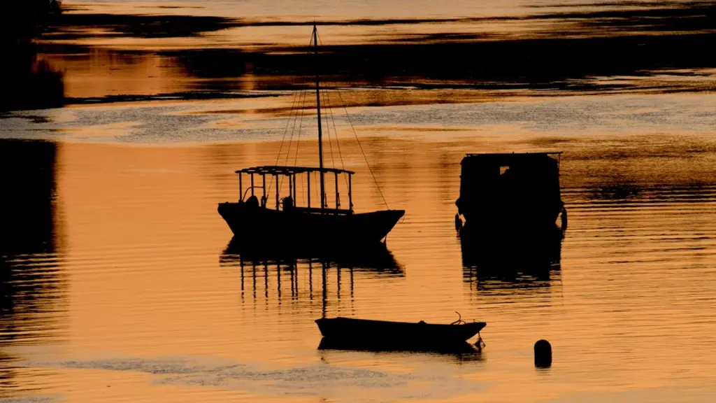 Bateaux sur la Loire à Orléans lors d'une fin de journée ensoleillée.