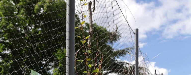 Ex(s)istere à Saint-Étienne : 14 plantes en accès libre: les informations pratiques