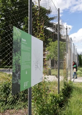 Ex(s)istere à Saint-Étienne : 14 plantes en accès libre: les informations pratiques