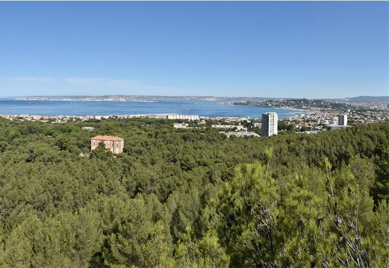 Marseille: le risque rouge coupe les sorties en forêt