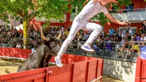 Montpellier : six sorties à choisir du 31 juillet au 2 août