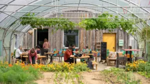 À Bruz, ce restaurant-serre où l’on déjeune au milieu des légumes