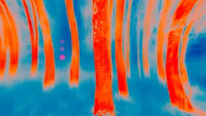 Une forêt aux teintes orange et bleues rappelant une carte thermique urbaine.