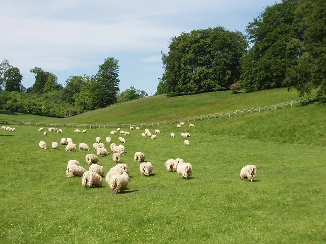 Parc du palais de Blenheim