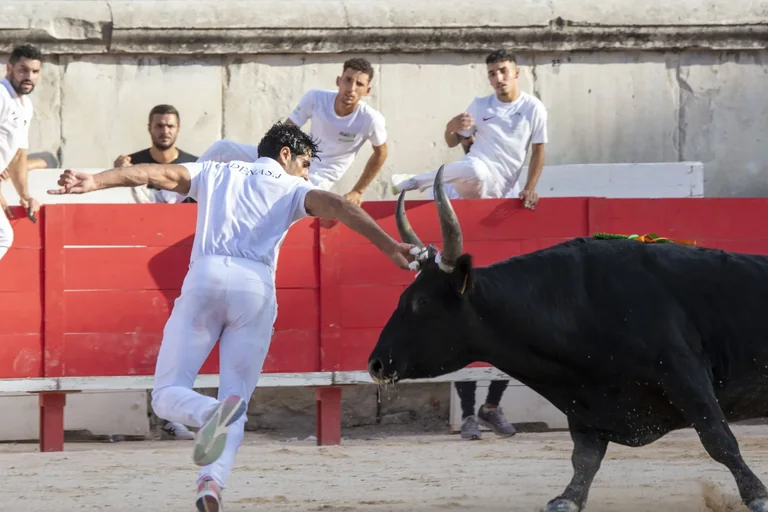 Jeudis de Nîmes : où sortir gratuitement ce jeudi 13 août