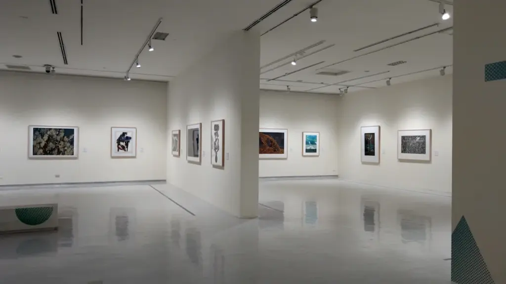 Galerie d'art contemporain lumineuse avec des œuvres encadrées sur des murs blancs.