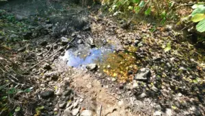 À Rennes, les usages de l’eau qui restent interdits