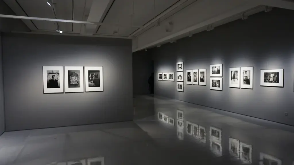 Une galerie d'art moderne avec des cadres photo élégamment exposés sur des murs sombres.