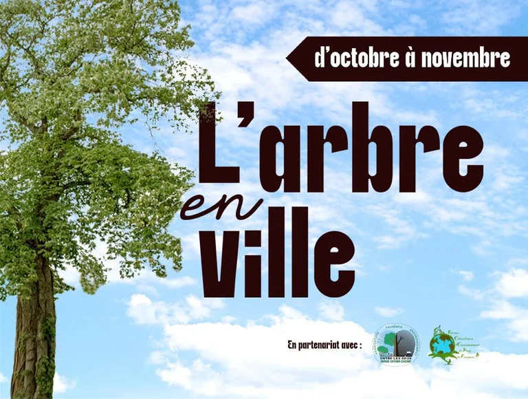 À Fougères, un mois pour redécouvrir l'arbre en ville