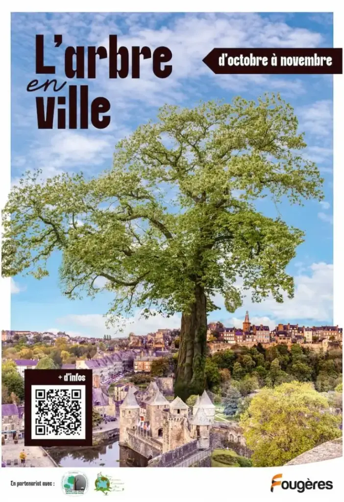 À Fougères, un mois pour redécouvrir l'arbre en ville