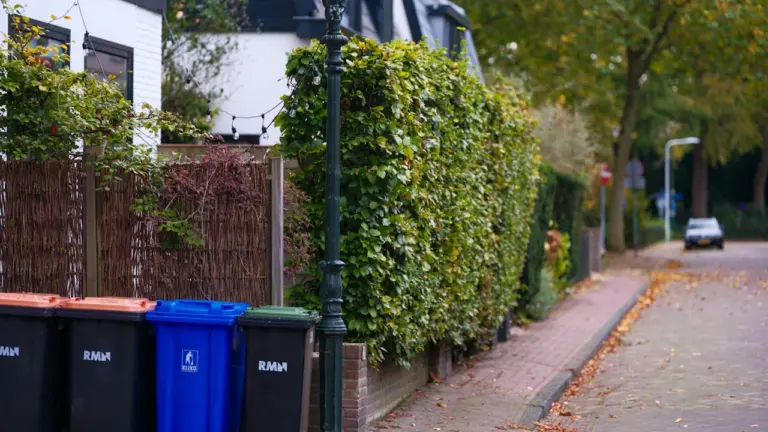 À Quimper, ces colonnes à verre ont disparu du centre-ville