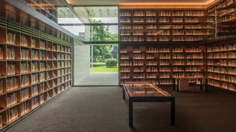 À Rennes, les bibliothèques deviennent bien plus que des lieux de lecture