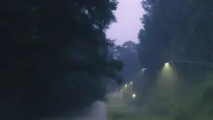 Tempête à Dinan : rafales à 110 km/h, le Val Cocherel fermé